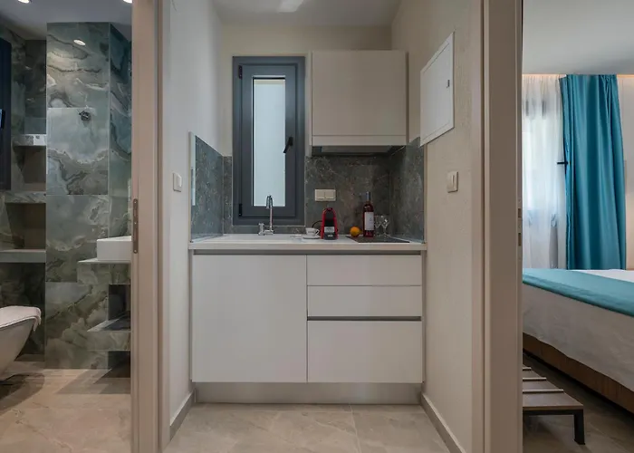 Vanesa Luxury Apartament Flogita